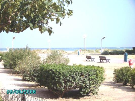 Barcares F2 Cabine, Rdc, Plage 50 M, 28 M2, 6 Personnes Le Barcarès Exterior foto